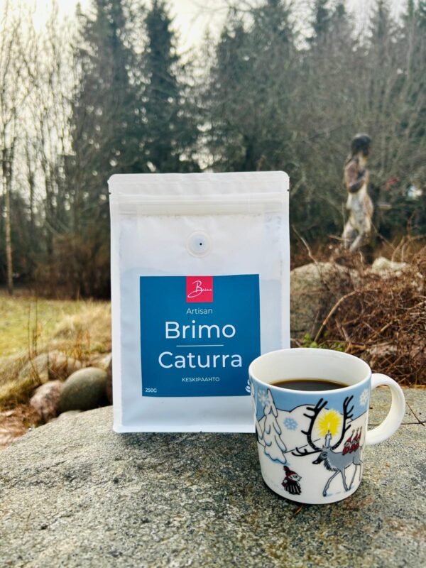 Brimo Caturra - Image 2